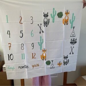 Animal Themed Milestone Blanket